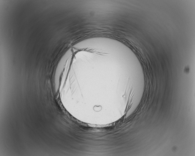 X0000116350221201001131113
