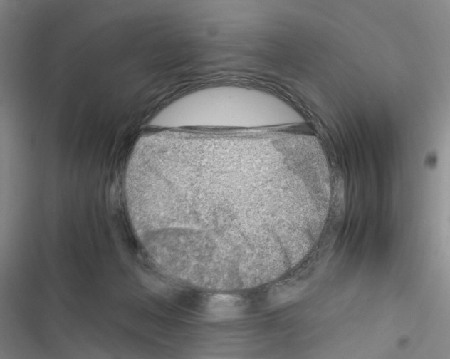X0000116350222201001131113