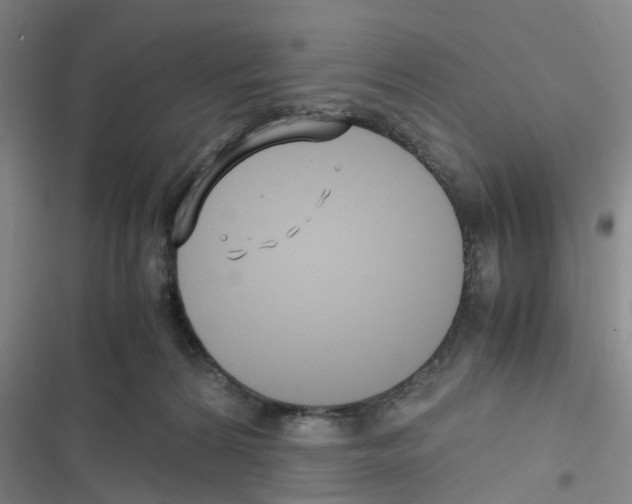 X0000116350224201001131113