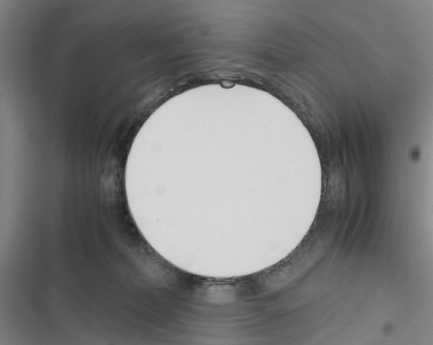 X0000116350228201001131113
