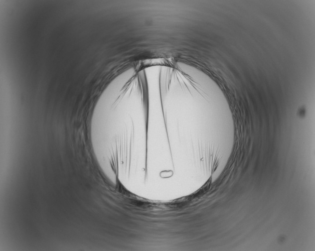 X0000116350229201001131113