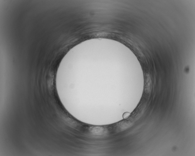X0000116350230201001131113