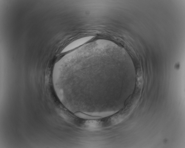 X0000116350231201001131113
