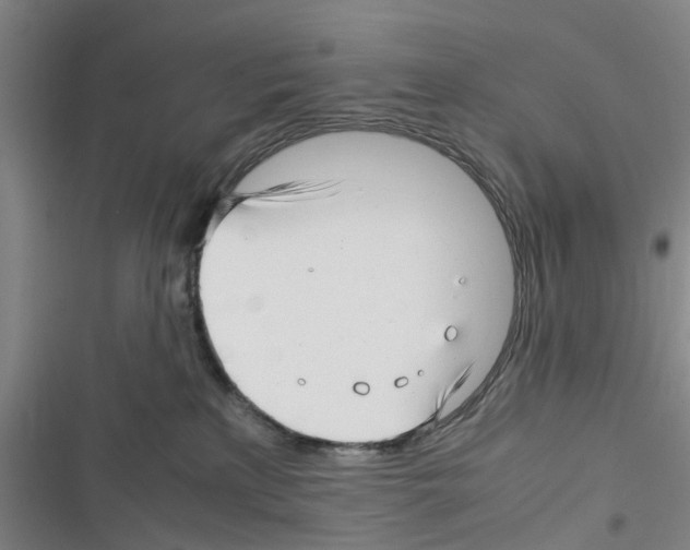 X0000116350233201001131113