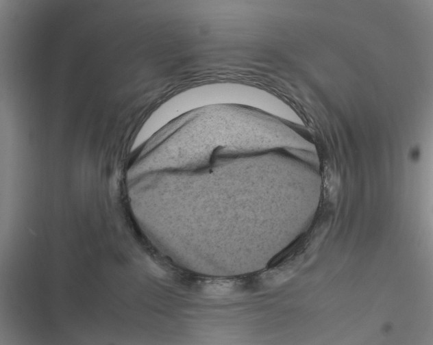 X0000116350235201001131113