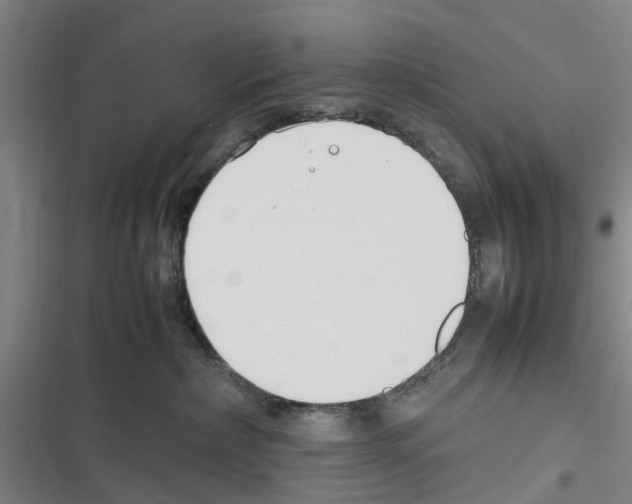 X0000116350236201001131113