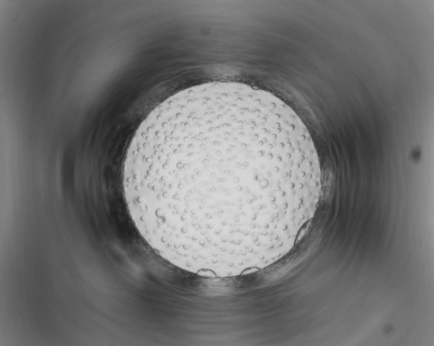 X0000116350238201001131113