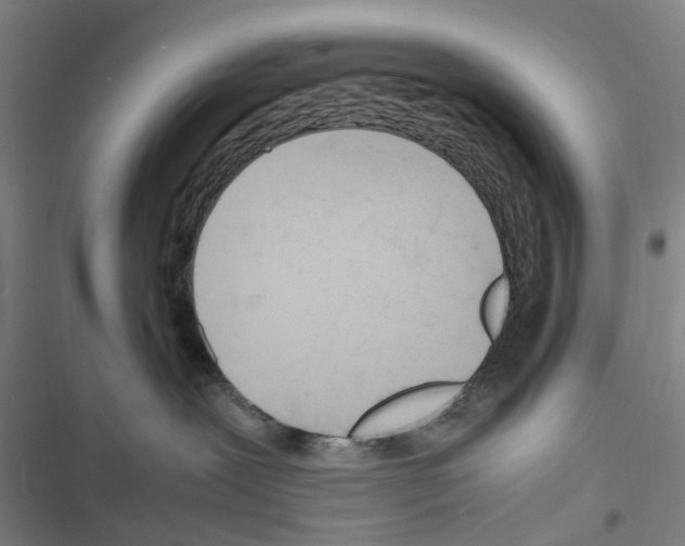 X0000116350239201001131113