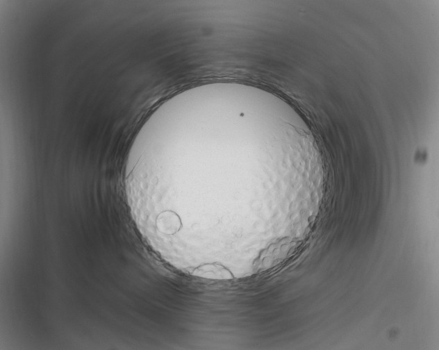 X0000116350240201001131113