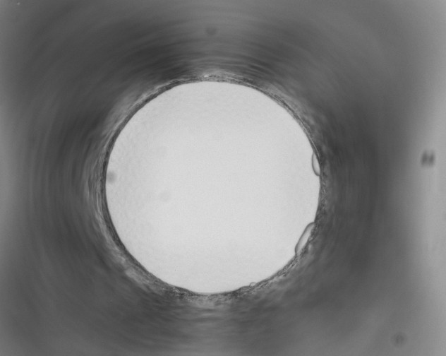X0000116350241201001131112