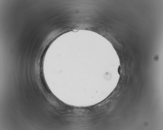 X0000116350242201001131112