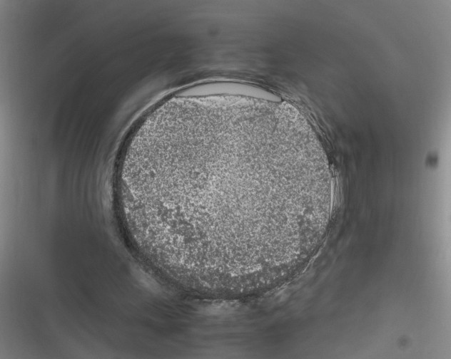 X0000116350243201001131112