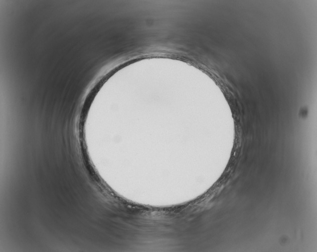 X0000116350244201001131112