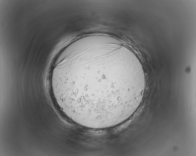 X0000116350245201001131112
