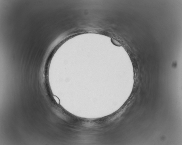X0000116350246201001131112