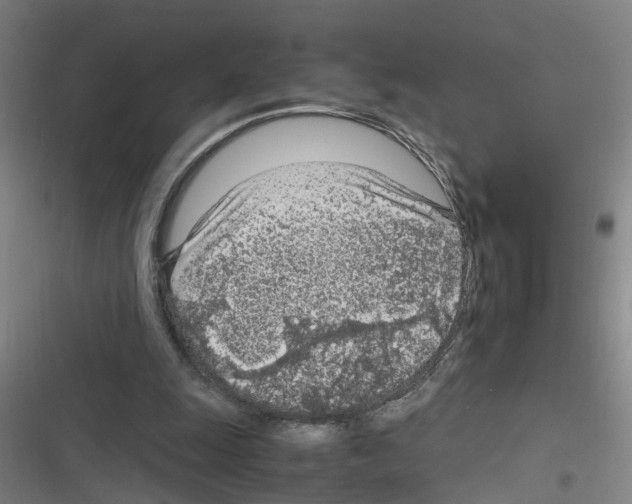 X0000116350247201001131112
