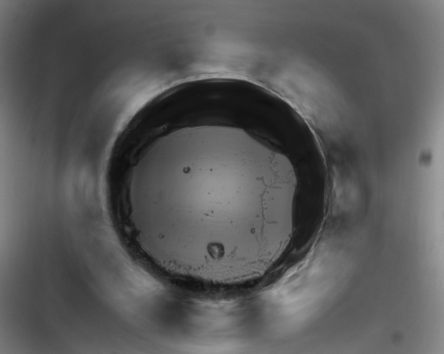 X0000116350248201001131112