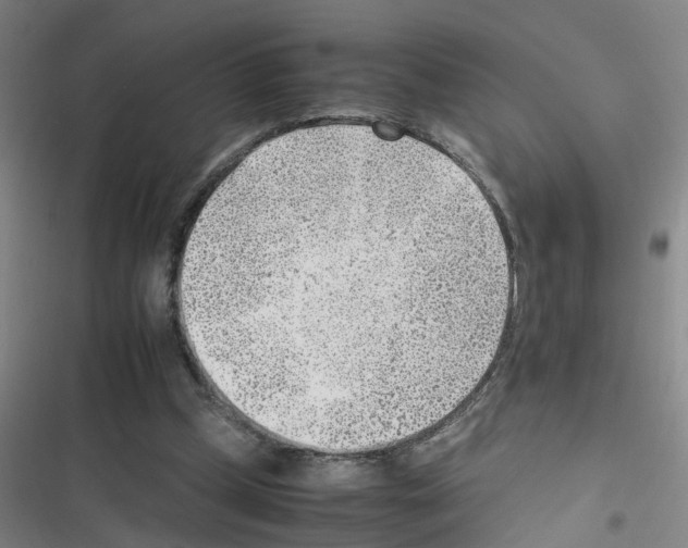 X0000116350249201001131112
