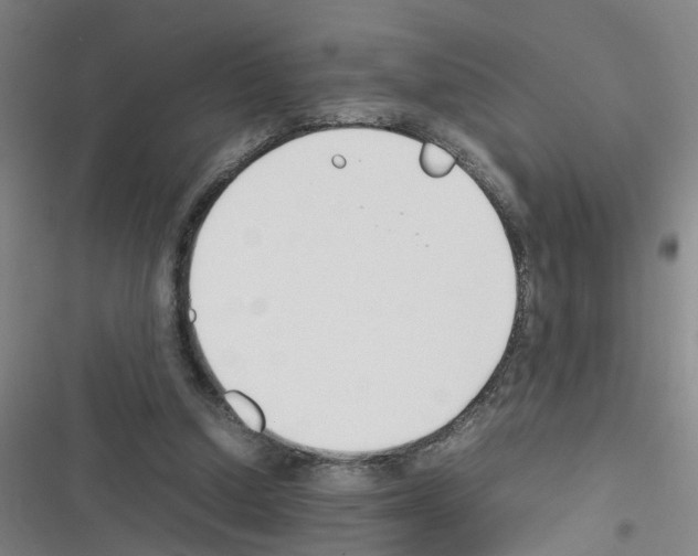 X0000116350250201001131112