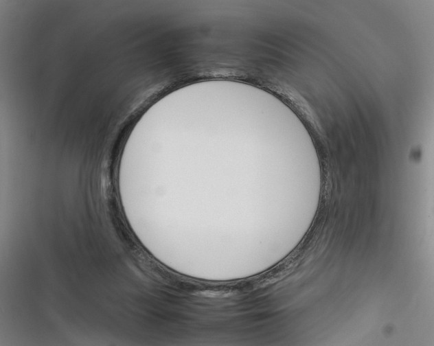 X0000116350251201001131112