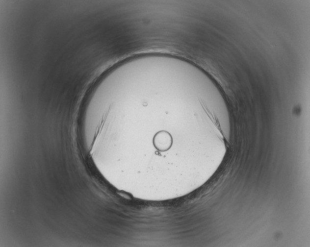 X0000116350252201001131112