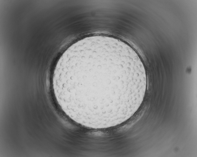 X0000116350253201001131112