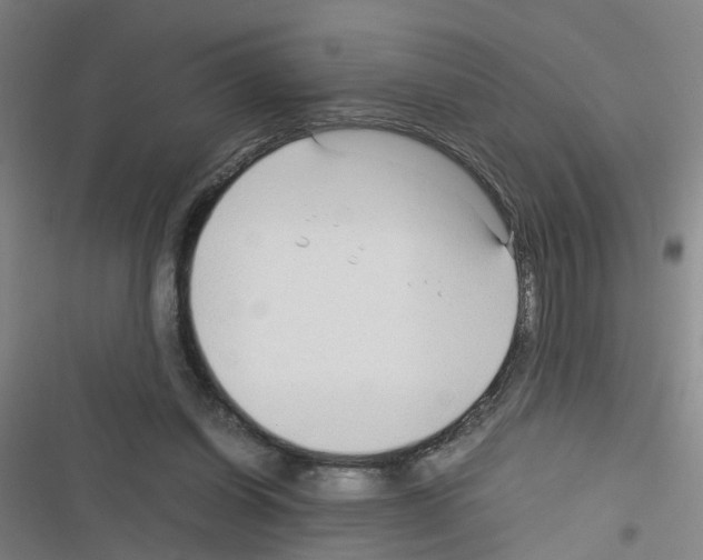 X0000116350254201001131112