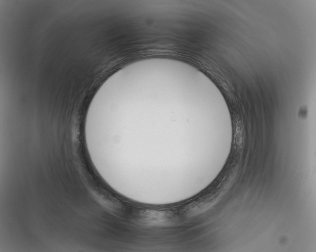 X0000116350255201001131112