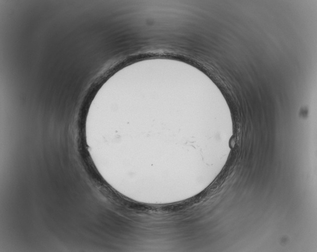 X0000116350256201001131112