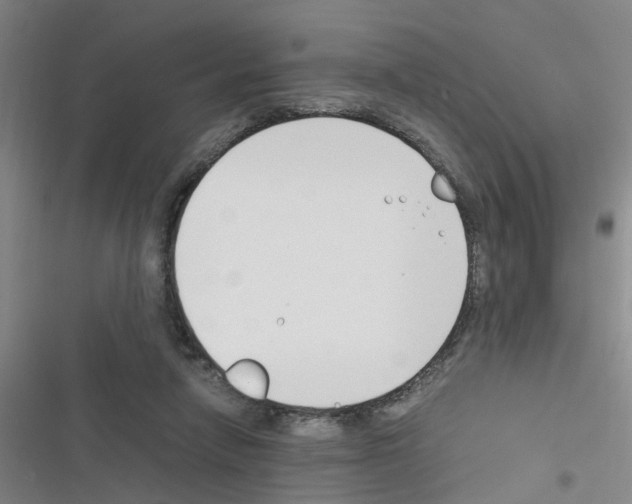 X0000116350258201001131112