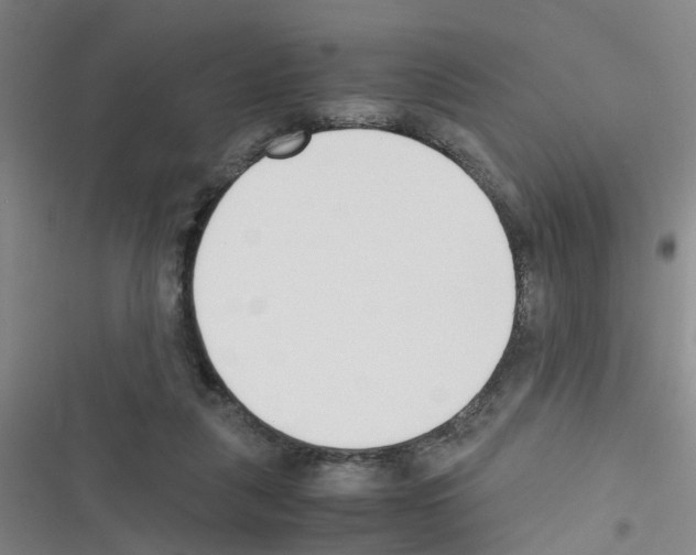 X0000116350259201001131112