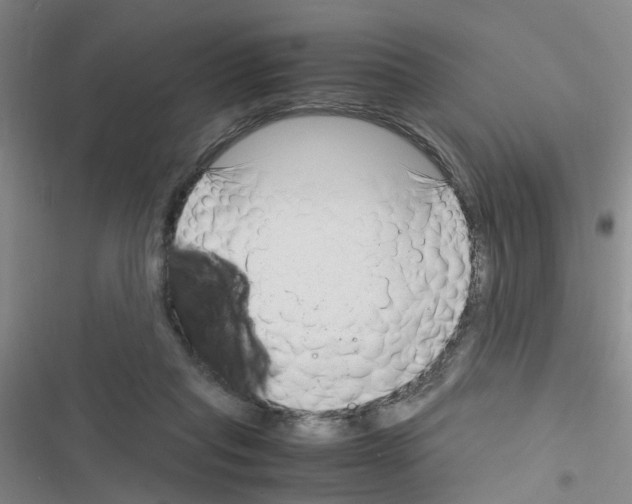 X0000116350261201001131112