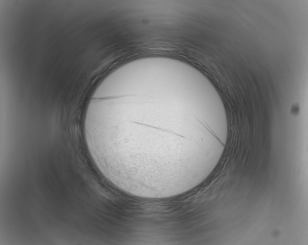 X0000116350262201001131112