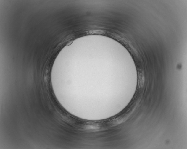 X0000116350263201001131112