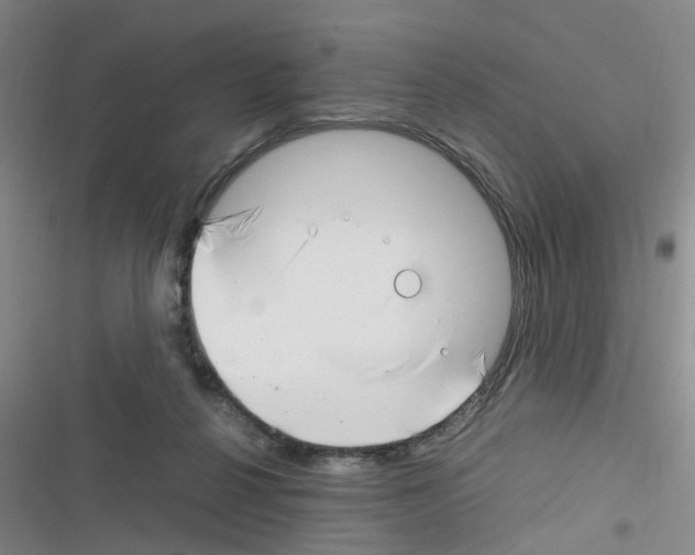 X0000116350264201001131112
