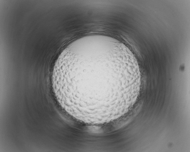 X0000116350265201001131112