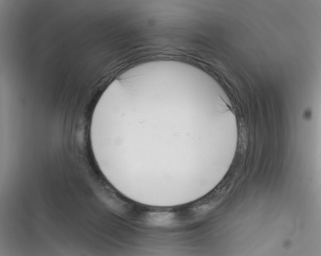 X0000116350266201001131112