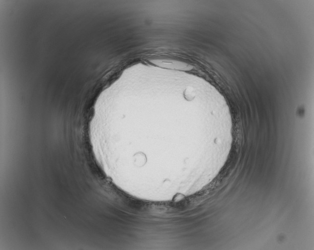 X0000116350268201001131112