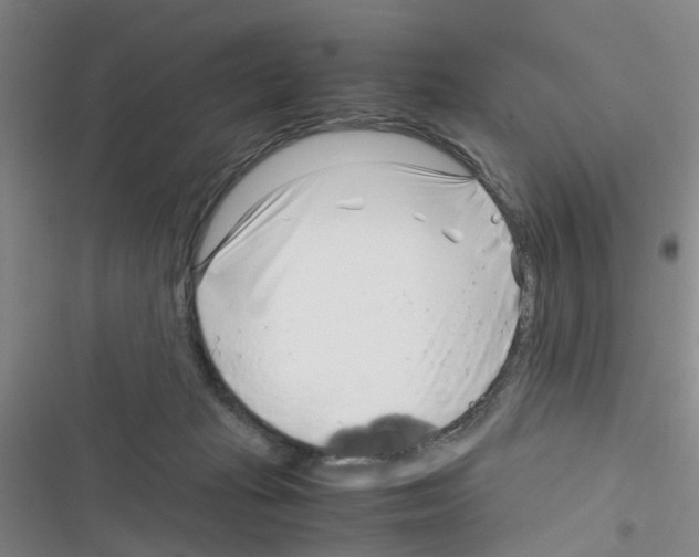 X0000116350269201001131112