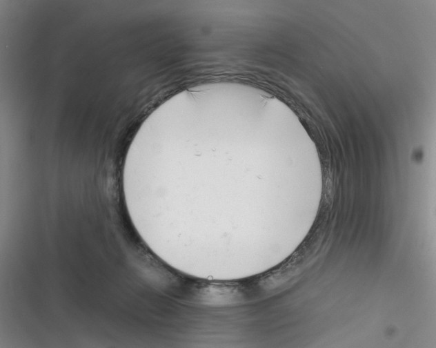 X0000116350270201001131112