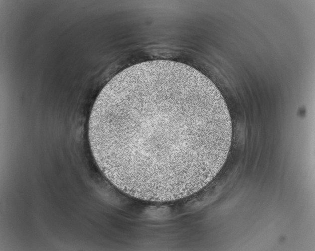 X0000116350271201001131112
