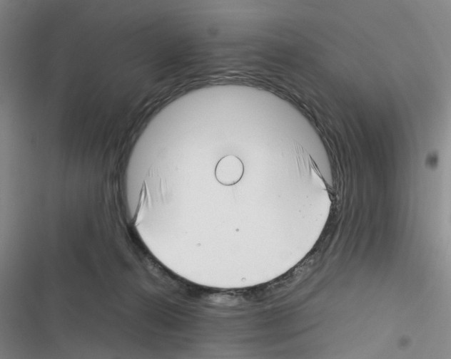 X0000116350272201001131112