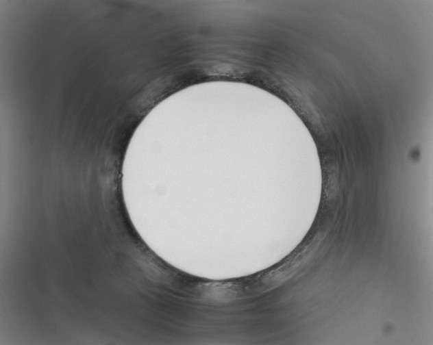 X0000116350273201001131112