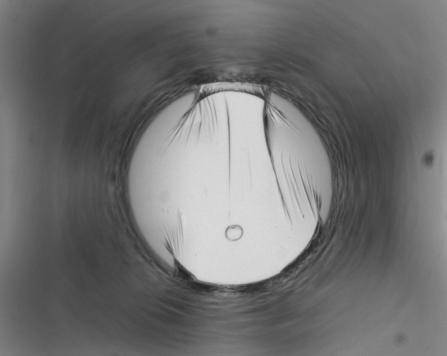 X0000116350276201001131112