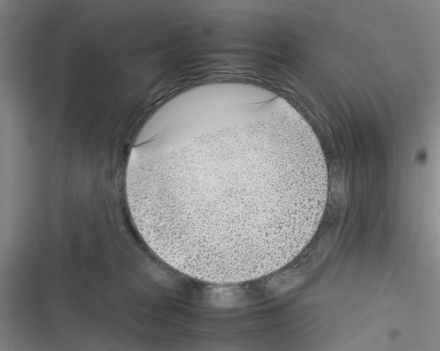 X0000116350277201001131112