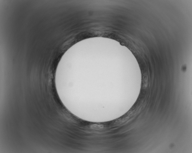 X0000116350279201001131112