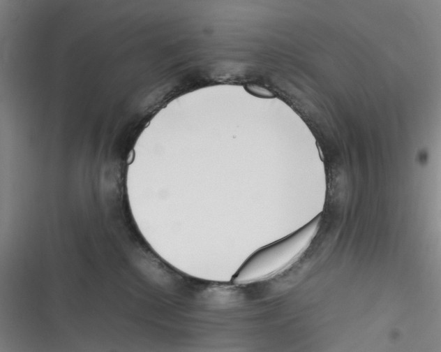 X0000116350280201001131112