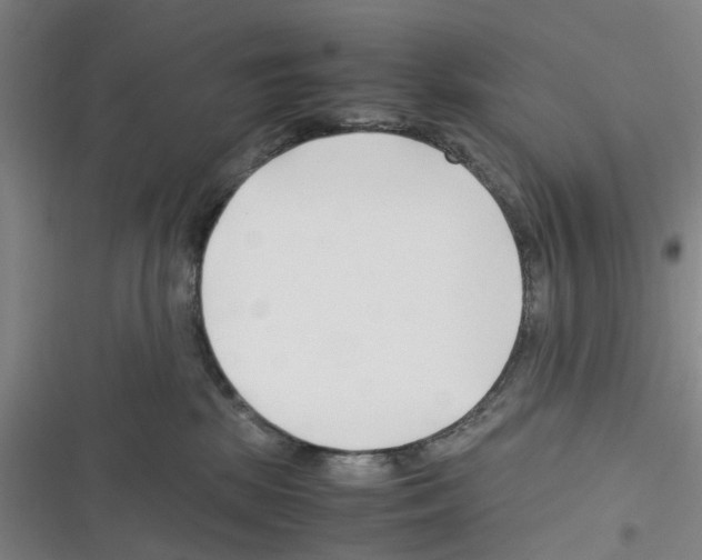X0000116350281201001131112