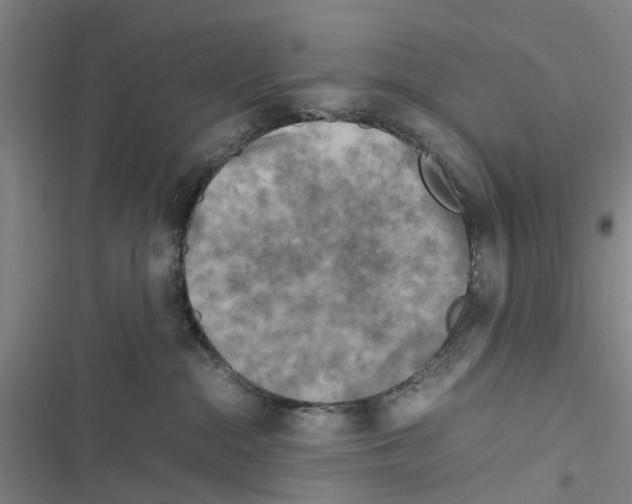 X0000116350284201001131112