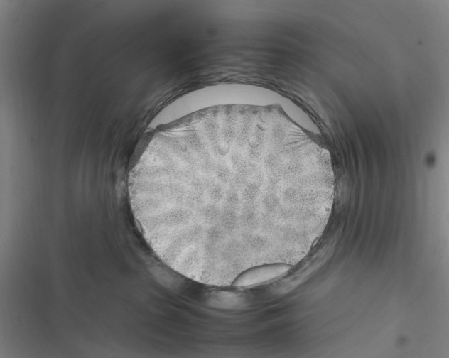 X0000116350285201001131112